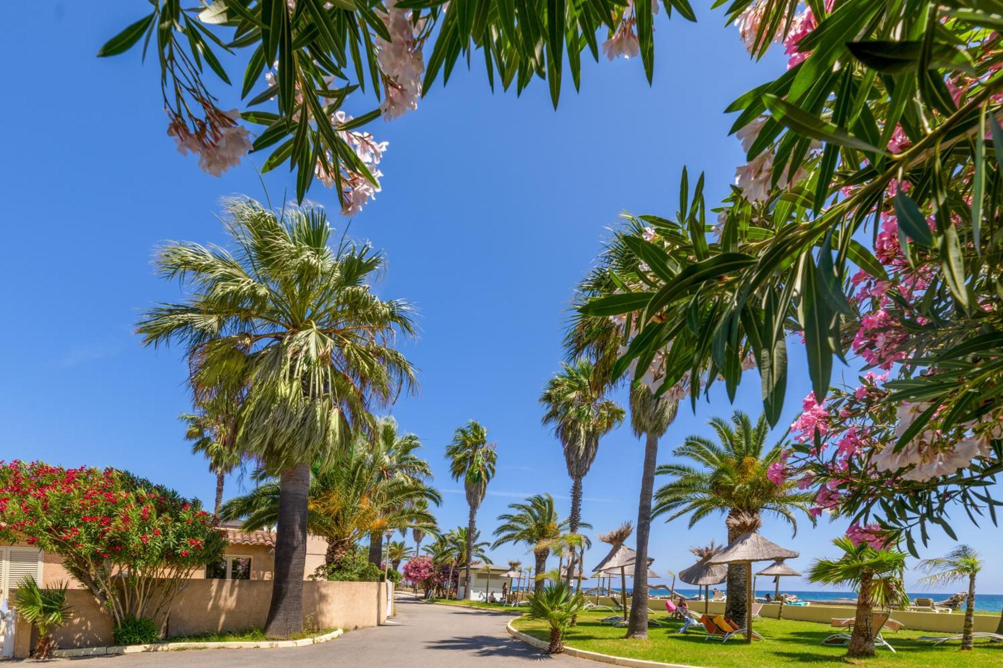 Folelli Residence San Pellegrino מראה חיצוני תמונה
