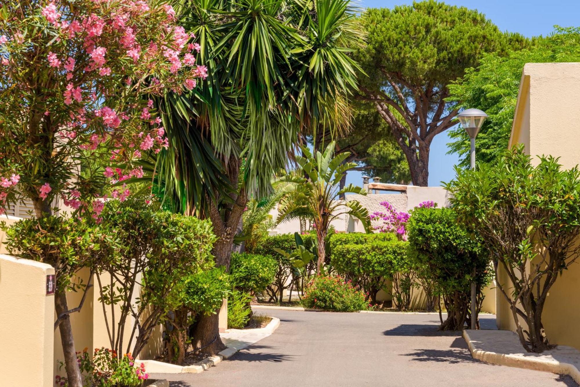 Folelli Residence San Pellegrino מראה חיצוני תמונה
