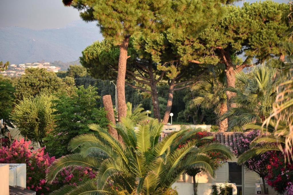 Folelli Residence San Pellegrino מראה חיצוני תמונה
